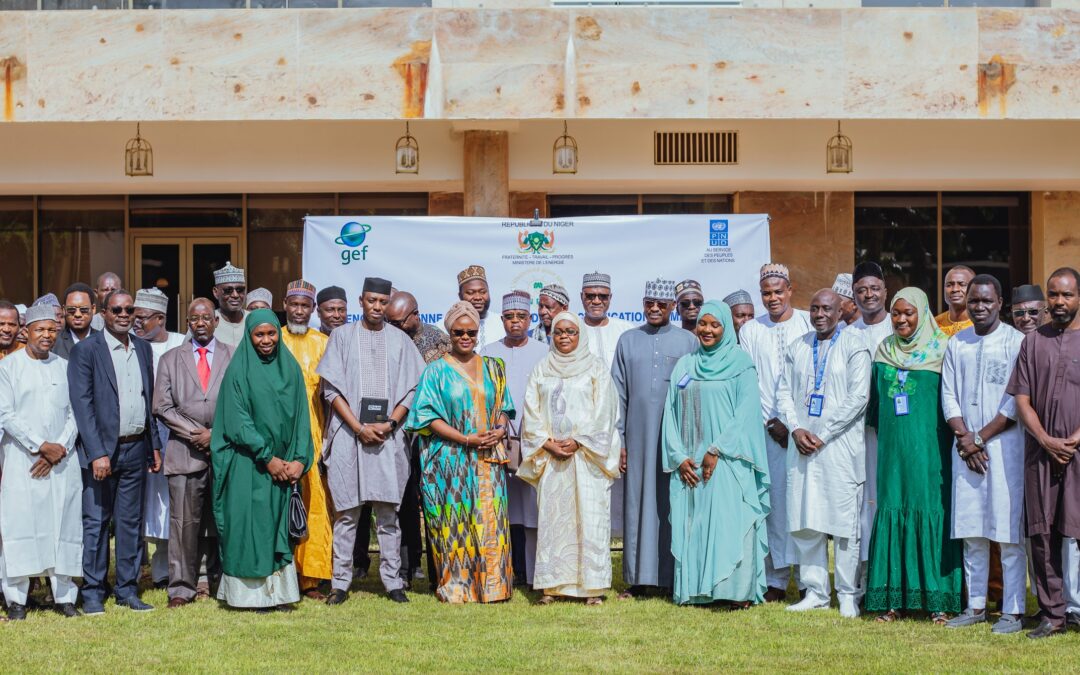 Projet national du Programme des Mini-réseaux en Afrique (AMP Niger)​